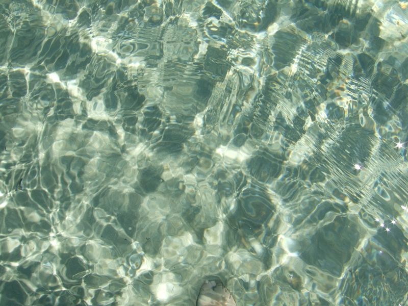 summercamp06 - 103